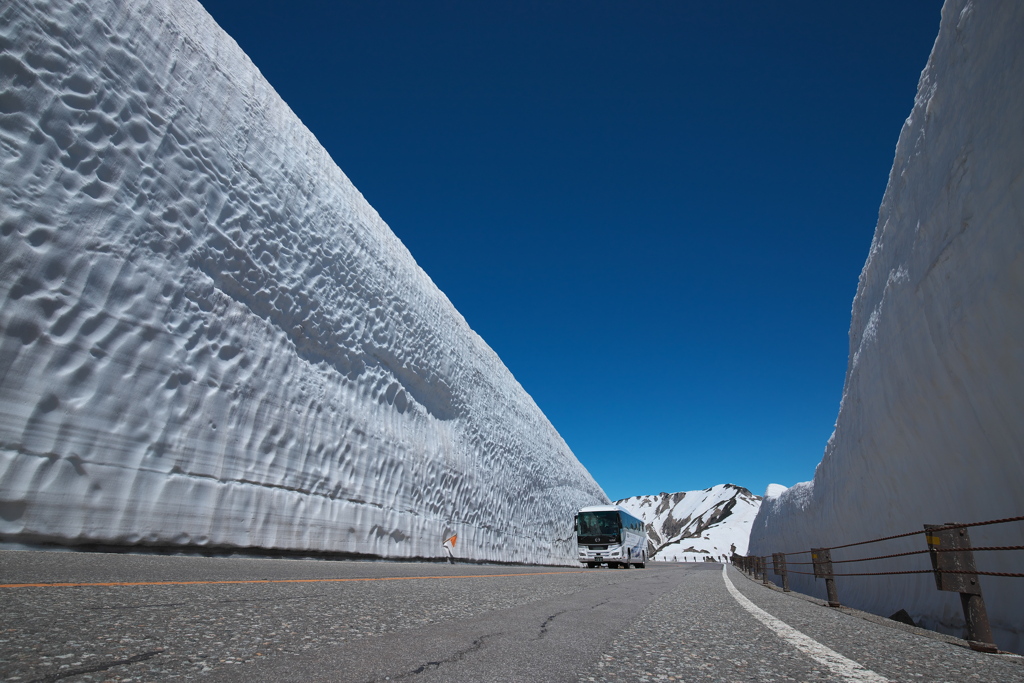 ６月の立山