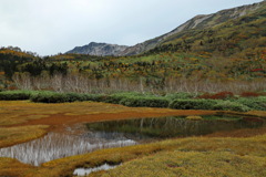 山はもう秋色２