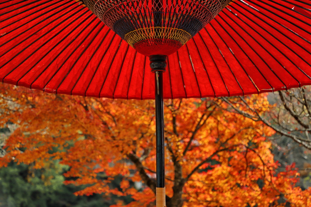 永源寺③