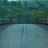 降りしきる雨の伊勢神宮　六