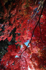 犬山寂光院