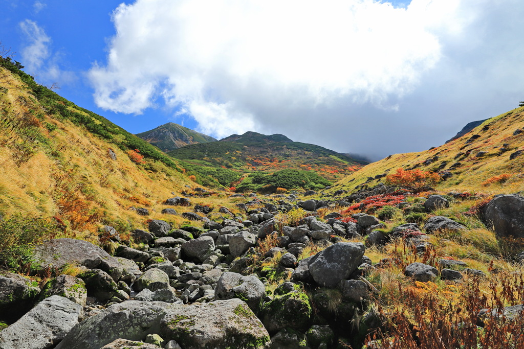 紅葉の立山2021