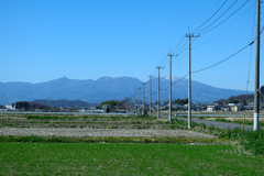 日本の春