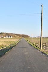 田舎と道