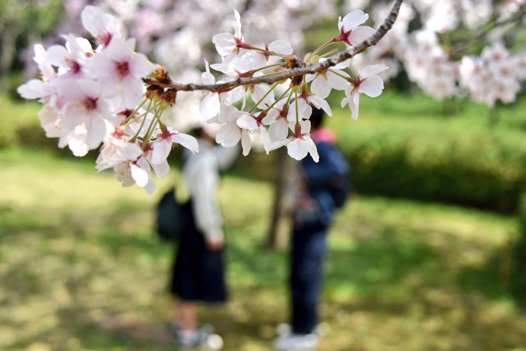 9E1FCEB2-5B05-4356-AD4D-3599D354AB05