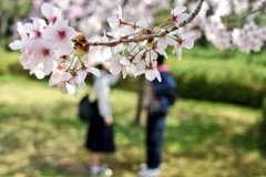 9E1FCEB2-5B05-4356-AD4D-3599D354AB05