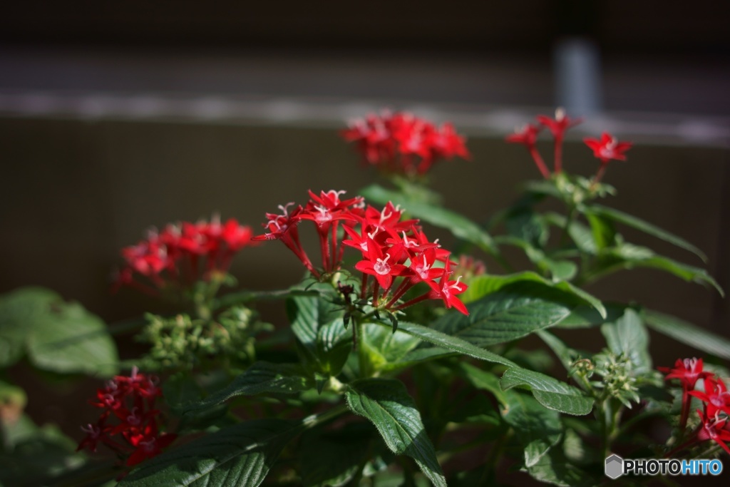 FB2A214F-BC24-4D44-8D4A-2C82C9E8AB2C