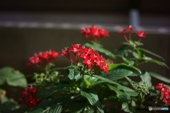 FB2A214F-BC24-4D44-8D4A-2C82C9E8AB2C