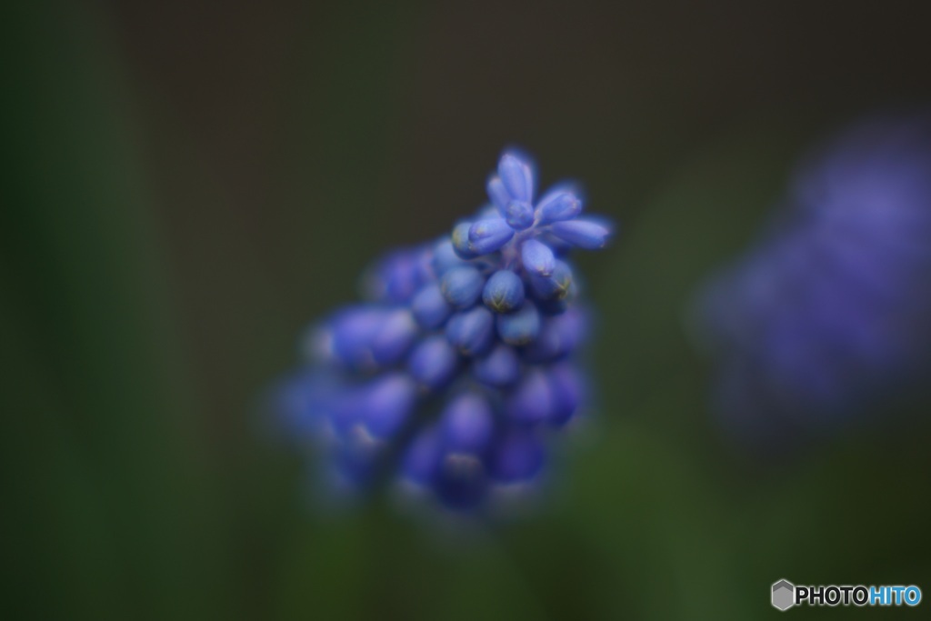 A8660D46-2ACB-4F5F-BA0D-923D2BC16BD0