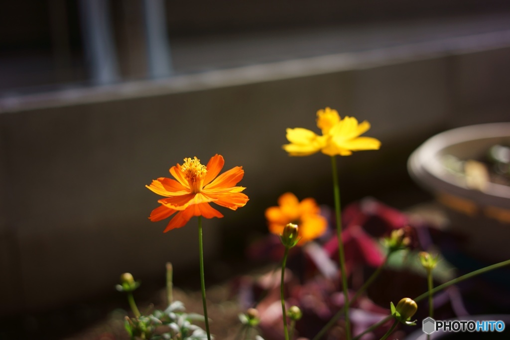 4C349560-0A92-4DE0-B4AC-28E71714D67B