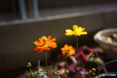 4C349560-0A92-4DE0-B4AC-28E71714D67B