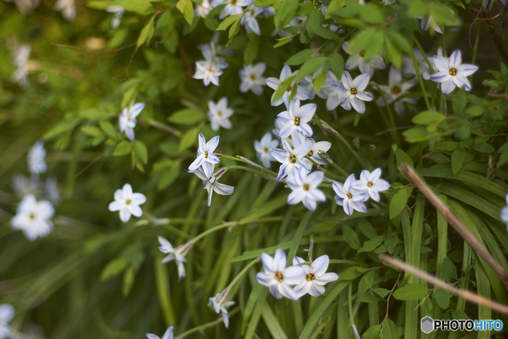 E15362AC-AEB8-416B-B4FF-61C26EA8FADF