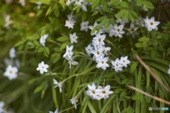 E15362AC-AEB8-416B-B4FF-61C26EA8FADF