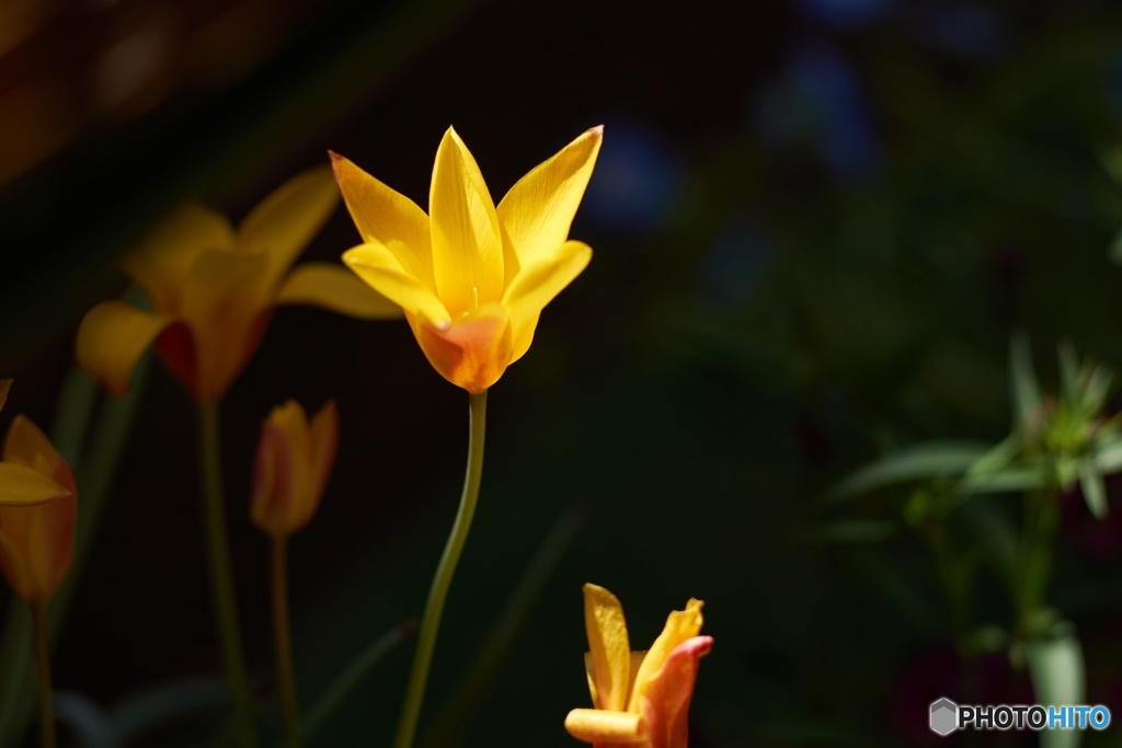 BC02537E-4DD2-4A42-8DF9-590FA293C4F7