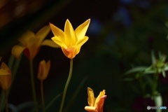 BC02537E-4DD2-4A42-8DF9-590FA293C4F7