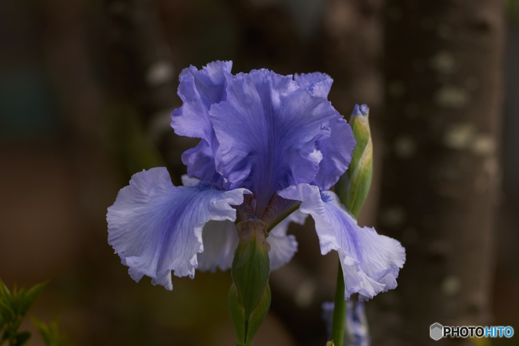 9B6B2EE0-1603-4498-8000-6592E137B438