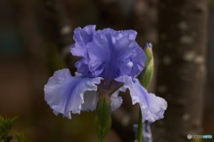 9B6B2EE0-1603-4498-8000-6592E137B438