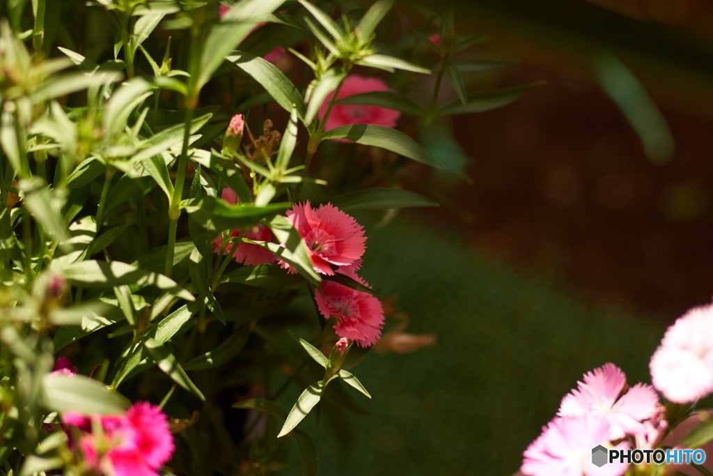 35FA12D2-56FB-4AEE-B263-80AAD6E81AC6