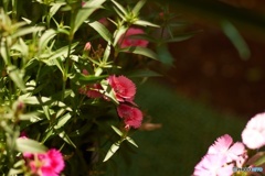 35FA12D2-56FB-4AEE-B263-80AAD6E81AC6