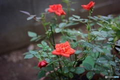 306F5740-009B-411B-A9BC-F8D7746C3D46