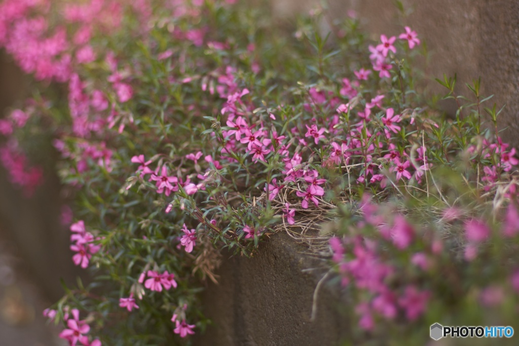 DF387820-E799-47F8-B183-130A5AE28B62