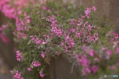 DF387820-E799-47F8-B183-130A5AE28B62