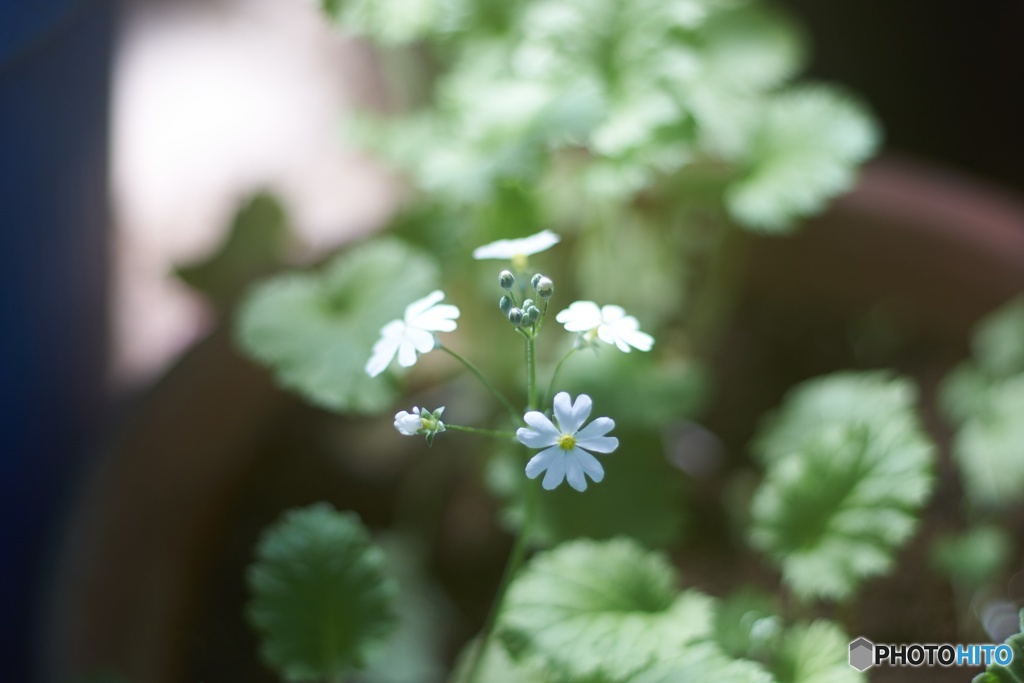 01428291-32A5-4905-B552-A7B7A770BAB3