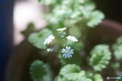 01428291-32A5-4905-B552-A7B7A770BAB3