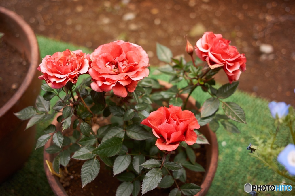 FD37A9F1-55DE-4644-8D0A-634234710AA3