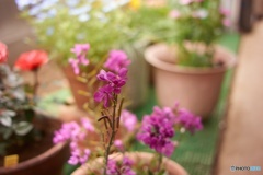 376ED0BC-1BE2-43CC-B647-3890D84C80F1