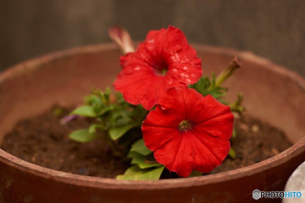 8F8AAB34-6539-4AAD-ABE0-B3A6E62AC085