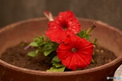 8F8AAB34-6539-4AAD-ABE0-B3A6E62AC085