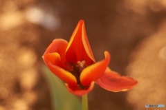 89AD998C-1769-44D2-833B-95EF888E9AC7