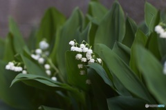 04868277-F11D-410E-997B-68CFCB977767