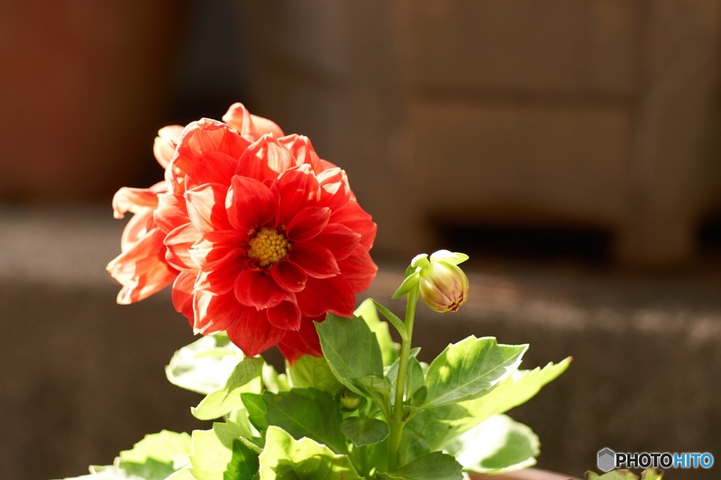 1C1BB613-B347-4393-9589-664EC01D392B