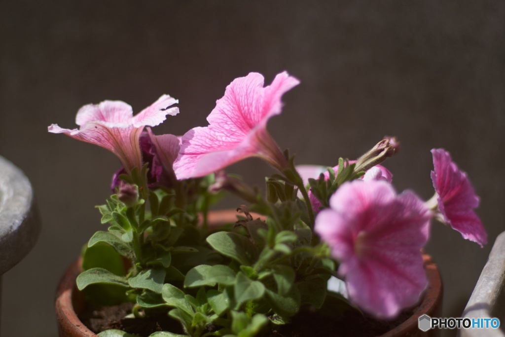 42A040D7-F57E-49AE-ADDF-3489AC826BD7