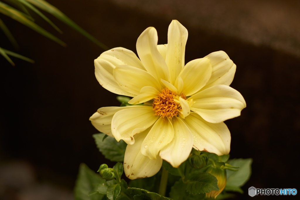 D3D05C06-30A1-4676-BCB9-A12F80EE2EAC