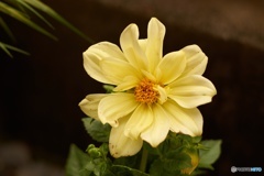 D3D05C06-30A1-4676-BCB9-A12F80EE2EAC