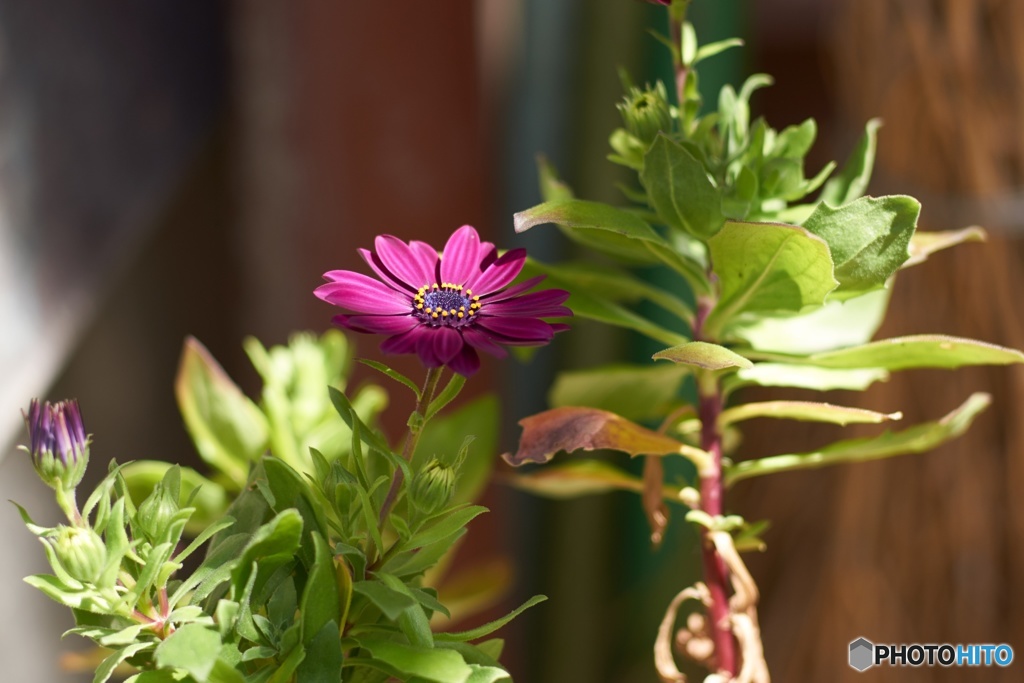 B30F7756-417D-4846-973E-3FACDF7DDA70