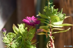 B30F7756-417D-4846-973E-3FACDF7DDA70