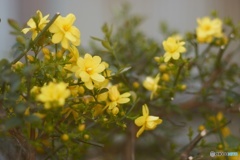 4A9FE394-4426-44F8-B350-FD3B6CC23332