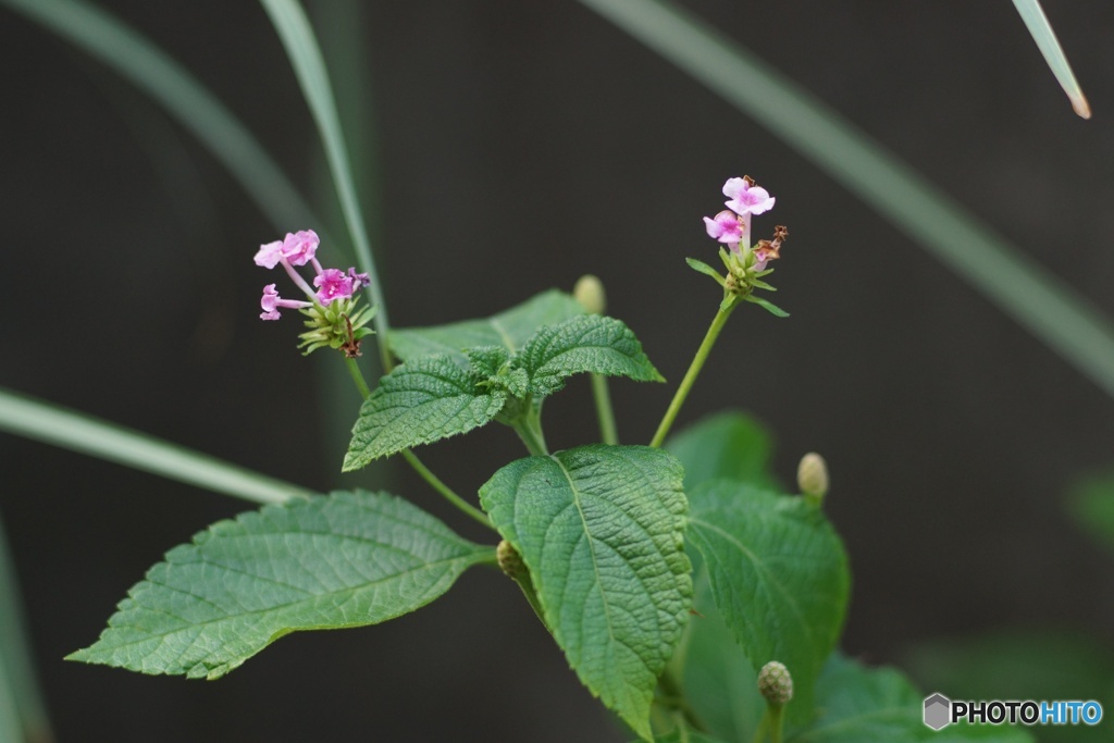 FD448051-62D2-425A-BA77-16F2F8A64311