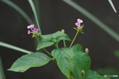 FD448051-62D2-425A-BA77-16F2F8A64311