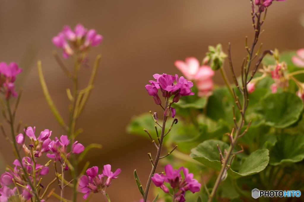 BCE8FE01-B6F3-4CD8-ABEF-C7781F92BF62