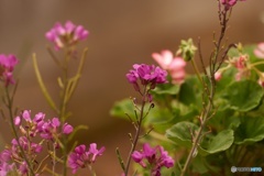 BCE8FE01-B6F3-4CD8-ABEF-C7781F92BF62