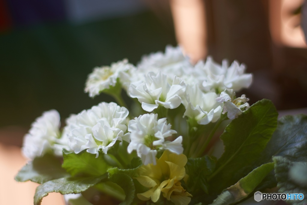 29B5311C-D75C-499A-A432-3559FFA6AE63