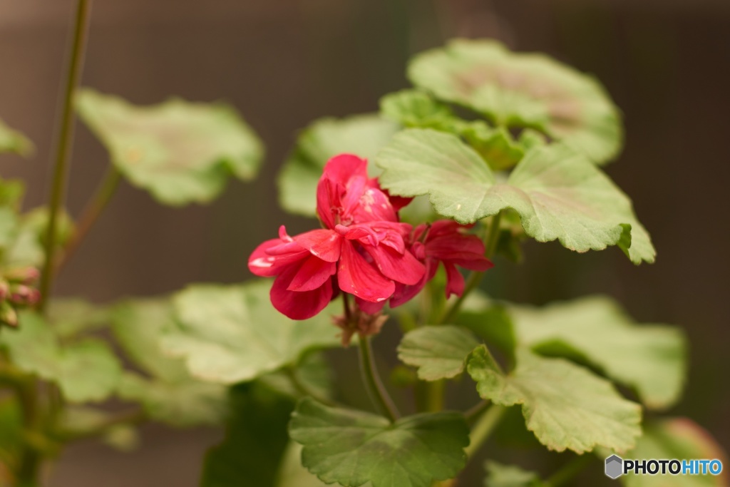 FDC27F22-ED06-4C64-B1E5-4F9A0E946DB4