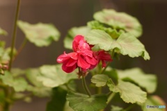 FDC27F22-ED06-4C64-B1E5-4F9A0E946DB4