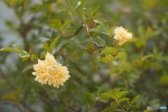 0A4E2FD0-F3A0-49A8-A3C1-98B61605C01A