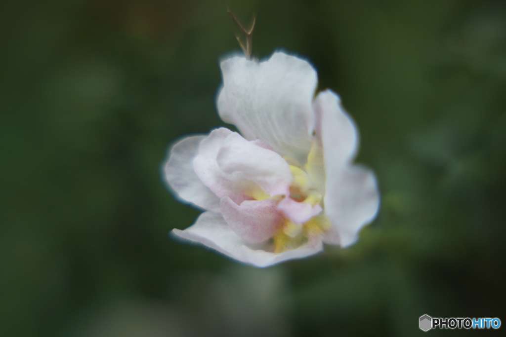 D46572EB-329A-4222-9D0B-B633EC79842D